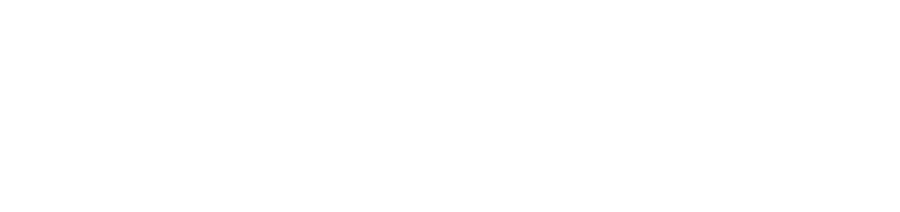 Viaanca Logo